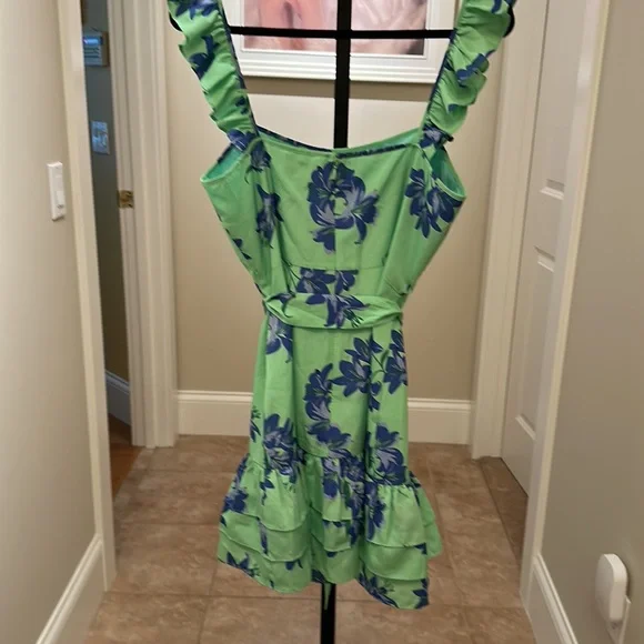 Likely Mini Charlotte Dress In Green Petal. NWT. Size 10 - Picture 11 of 13